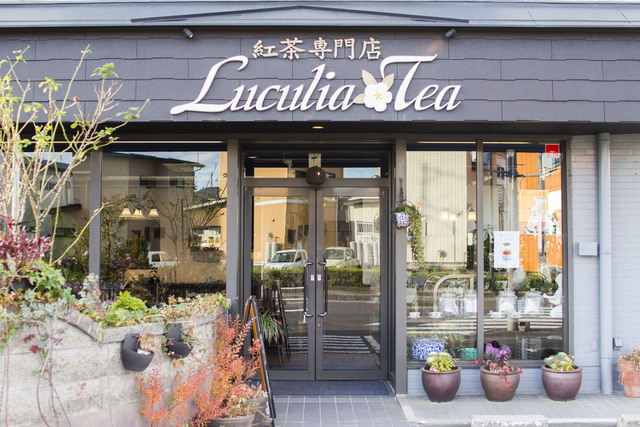 紅茶専門店Luculia*Teaの写真