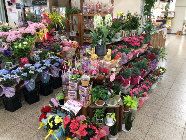 花の店サトウ やのめ店 花 ガーデニング 福島市北部 ふくラボ
