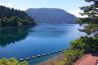 沼沢湖の写真