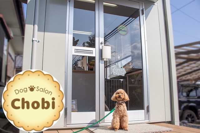 Dog Salon Chobi 【ドッグサロンちょび】の写真