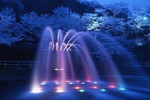 信夫山公園の桜 さくらスポット情報 花見 福島市 イベント情報 ふくラボ
