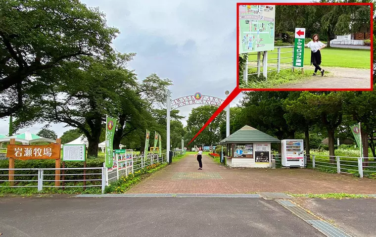 ▲岩瀬牧場の入場口。進んで左手に案内の看板があります。